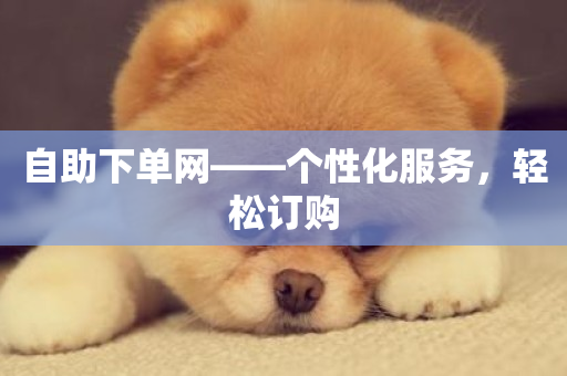 自助下单网——个性化服务，轻松订购-第1张图片-ZBLOG