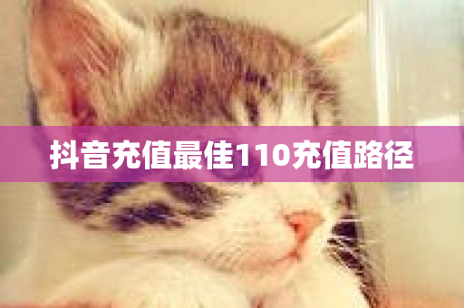 抖音充值最佳110充值路径