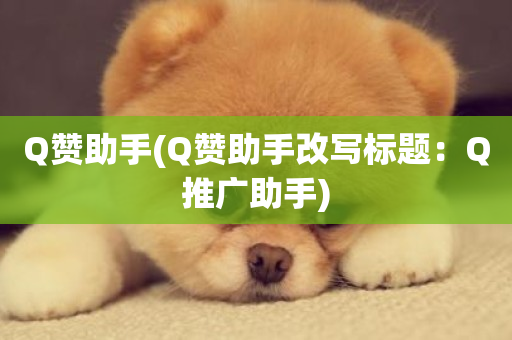 Q赞助手(Q赞助手改写标题：Q推广助手)-第1张图片-ZBLOG