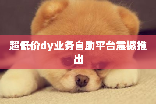 超低价dy业务自助平台震撼推出-第1张图片-ZBLOG