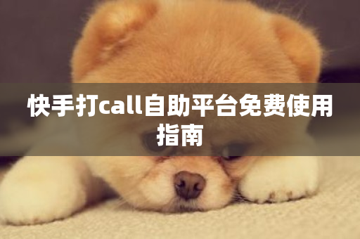 快手打call自助平台免费使用指南-第1张图片-ZBLOG