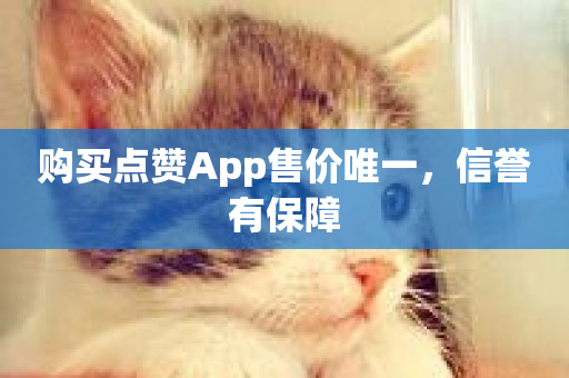 购买点赞App售价唯一，信誉有保障-第1张图片-ZBLOG