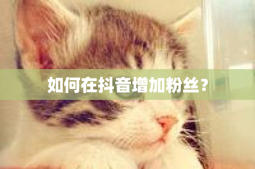 如何在抖音增加粉丝？