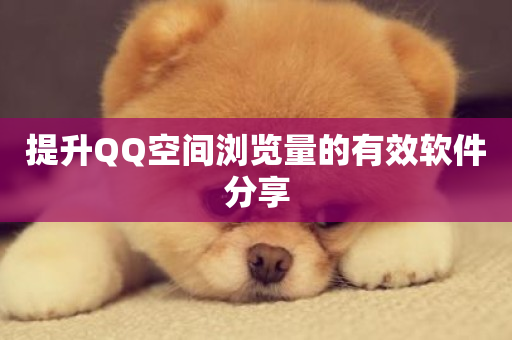 提升QQ空间浏览量的有效软件分享-第1张图片-ZBLOG