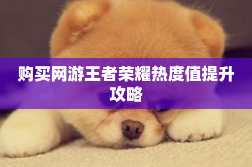 购买网游王者荣耀热度值提升攻略-第1张图片-ZBLOG