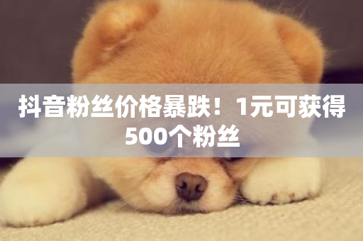 抖音粉丝价格暴跌！1元可获得500个粉丝-第1张图片-ZBLOG