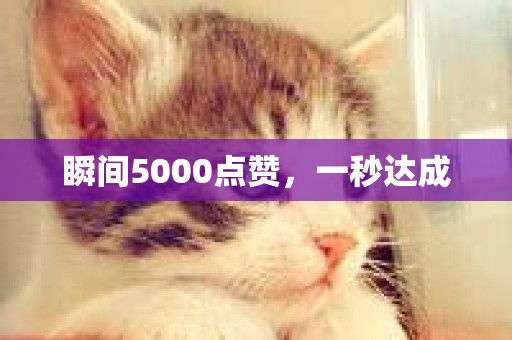 瞬间5000点赞，一秒达成-第1张图片-ZBLOG