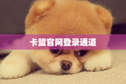 卡盟官网登录通道-第1张图片-ZBLOG