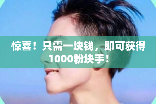 惊喜！只需一块钱，即可获得1000粉块手！-第1张图片-ZBLOG