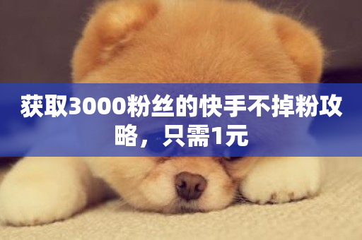 获取3000粉丝的快手不掉粉攻略，只需1元