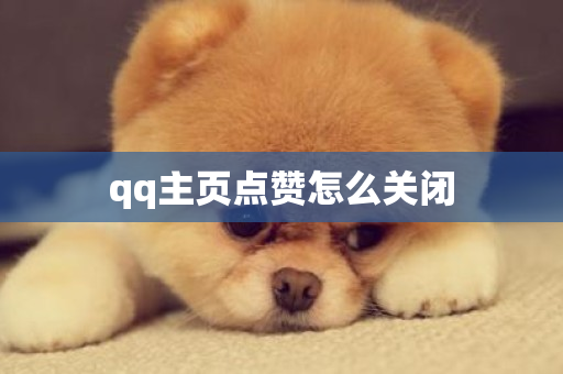 qq主页点赞怎么关闭