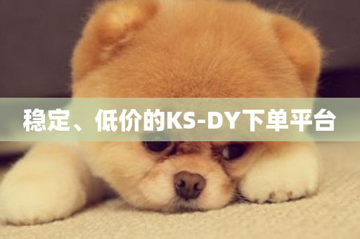 稳定、低价的KS-DY下单平台-第1张图片-ZBLOG