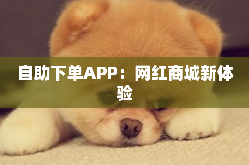 自助下单APP：网红商城新体验-第1张图片-ZBLOG