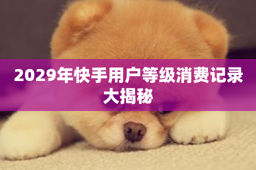 2029年快手用户等级消费记录大揭秘-第1张图片-ZBLOG