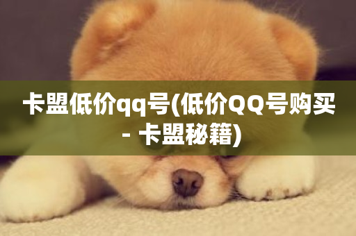 卡盟低价qq号(低价QQ号购买 - 卡盟秘籍)-第1张图片-ZBLOG