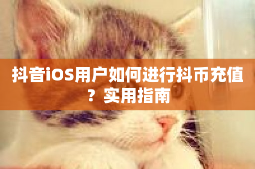 抖音iOS用户如何进行抖币充值？实用指南-第1张图片-ZBLOG