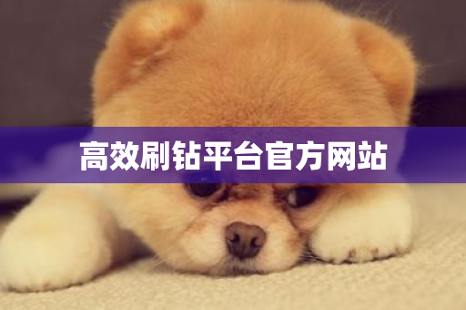 高效刷钻平台官方网站-第1张图片-ZBLOG