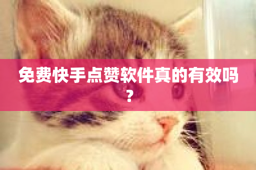 免费快手点赞软件真的有效吗？-第1张图片-ZBLOG