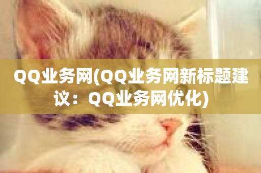 QQ业务网(QQ业务网新标题建议：QQ业务网优化)-第1张图片-ZBLOG