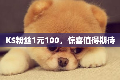 KS粉丝1元100，惊喜值得期待-第1张图片-ZBLOG