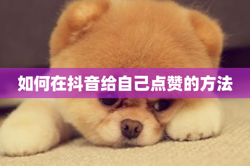 如何在抖音给自己点赞的方法-第1张图片-ZBLOG