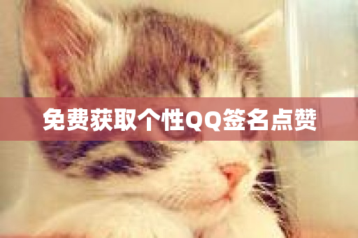 免费获取个性QQ签名点赞