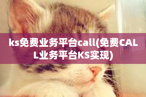 ks免费业务平台call(免费CALL业务平台KS实现)-第1张图片-ZBLOG