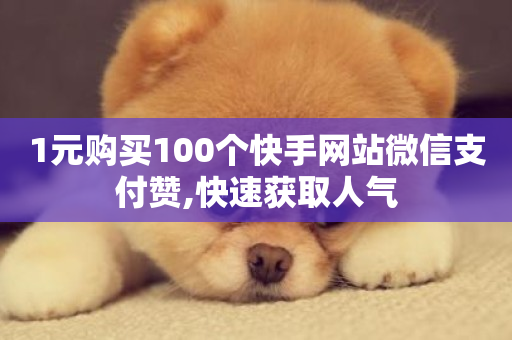 1元购买100个快手网站微信支付赞,快速获取人气-第1张图片-ZBLOG