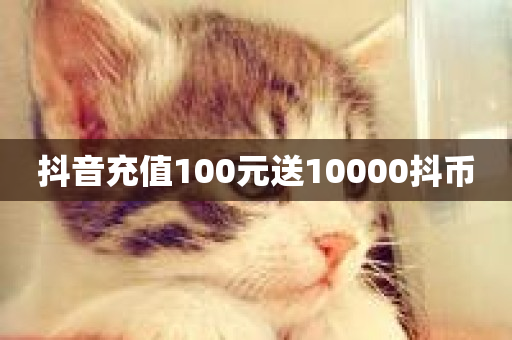 抖音充值100元送10000抖币-第1张图片-ZBLOG