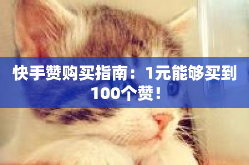 快手赞购买指南：1元能够买到100个赞！-第1张图片-ZBLOG