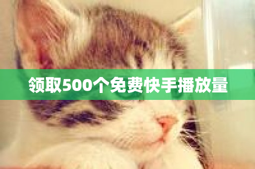 领取500个免费快手播放量