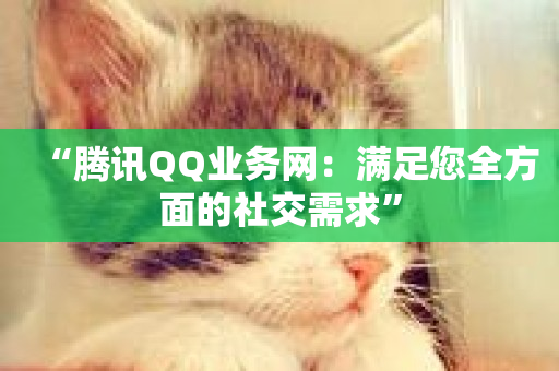 “腾讯QQ业务网：满足您全方面的社交需求”