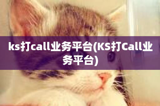 ks打call业务平台(KS打Call业务平台)