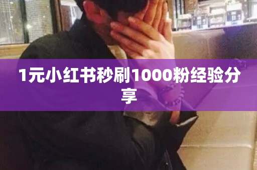 1元小红书秒刷1000粉经验分享-第1张图片-ZBLOG