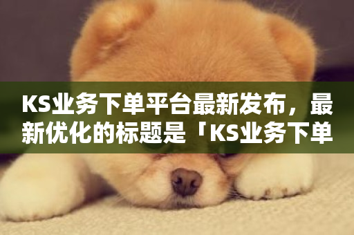 KS业务下单平台最新发布，最新优化的标题是「KS业务下单平台优化更新」