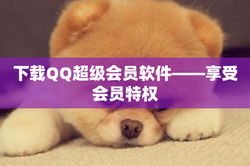 下载QQ超级会员软件——享受会员特权-第1张图片-ZBLOG