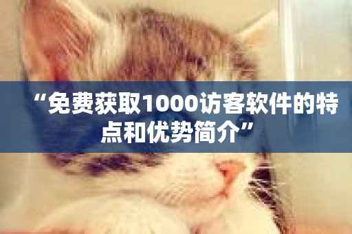 “免费获取1000访客软件的特点和优势简介”-第1张图片-ZBLOG