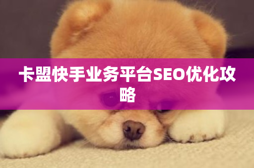 卡盟快手业务平台SEO优化攻略-第1张图片-ZBLOG