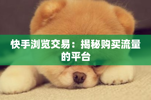 快手浏览交易：揭秘购买流量的平台-第1张图片-ZBLOG