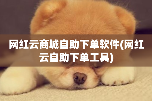 网红云商城自助下单软件(网红云自助下单工具)-第1张图片-ZBLOG