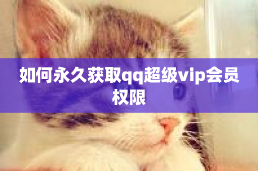 如何永久获取qq超级vip会员权限-第1张图片-ZBLOG