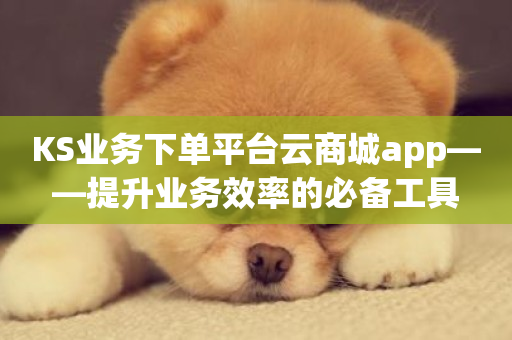 KS业务下单平台云商城app——提升业务效率的必备工具-第1张图片-ZBLOG