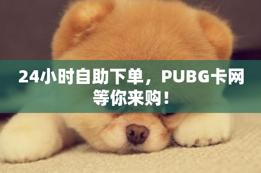 24小时自助下单，PUBG卡网等你来购！-第1张图片-ZBLOG