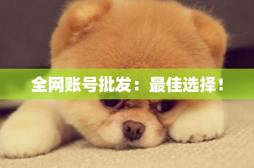 全网账号批发：最佳选择！-第1张图片-ZBLOG