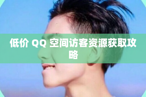 低价 QQ 空间访客资源获取攻略-第1张图片-ZBLOG