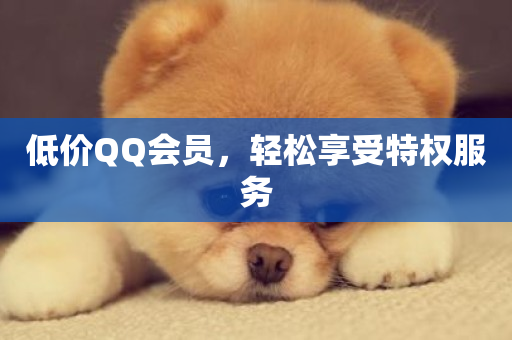 低价QQ会员，轻松享受特权服务-第1张图片-ZBLOG