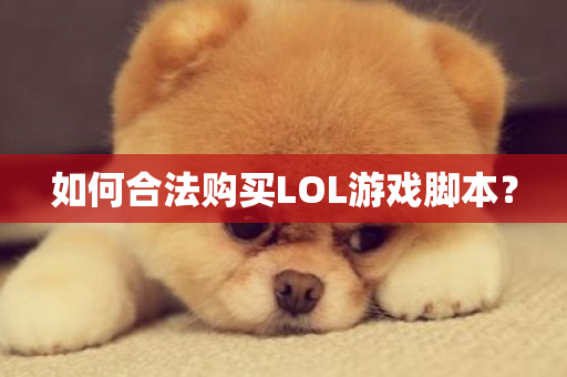 如何合法购买LOL游戏脚本？