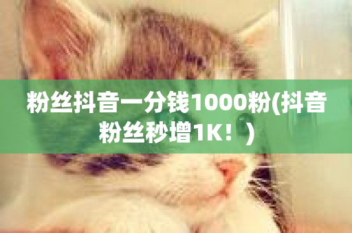 粉丝抖音一分钱1000粉(抖音粉丝秒增1K！)-第1张图片-ZBLOG