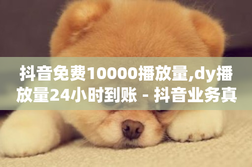 抖音免费10000播放量,dy播放量24小时到账 - 抖音业务真人下单24小时 - 快手点赞任务平台有哪些