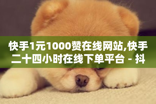 快手1元1000赞在线网站,快手二十四小时在线下单平台 - 抖音自助服务 - Ks粉丝业务-第1张图片-ZBLOG